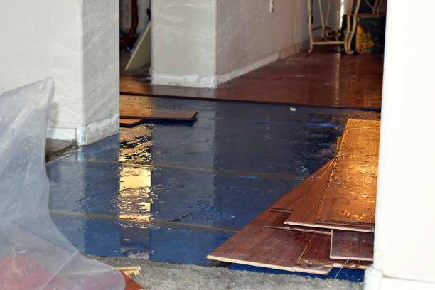 Professional Water Damage Repair technician working in Albion, RI